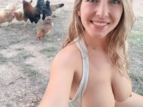 Titties and chickens